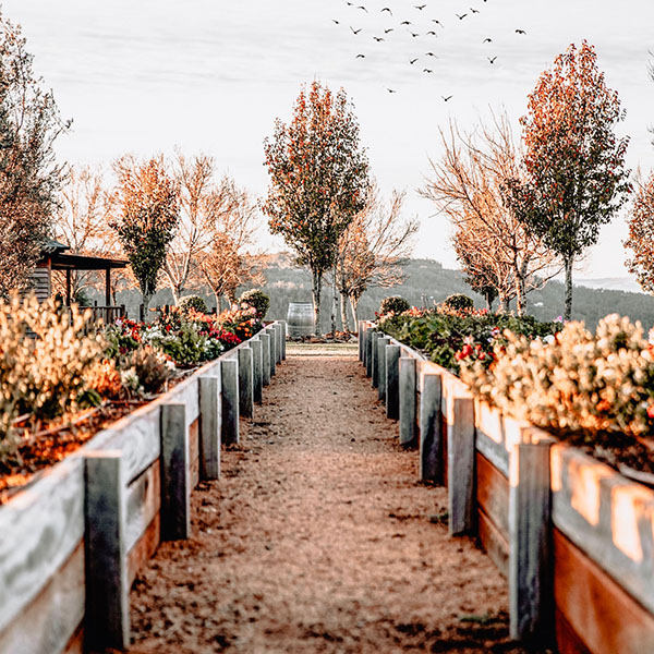 Angelegter Garten mit Pflasterweg