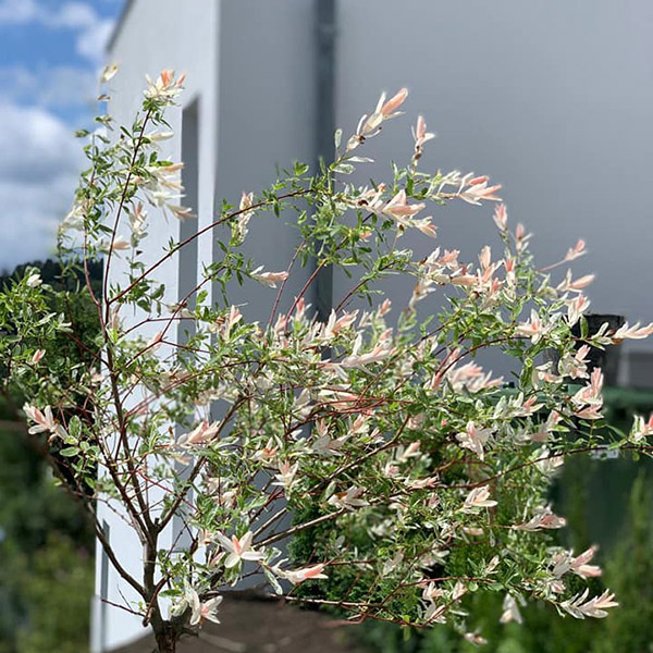 Referenzprojekt Garten- und Landschaftsbau